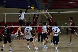 棒球为何适合知识型IP