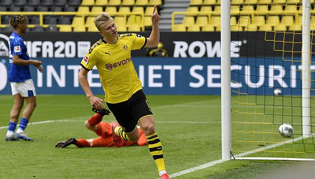 蛙爆发力惊 蛙爆发力惊